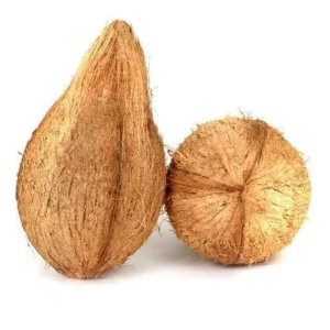 Semi Husked Coconut for Export